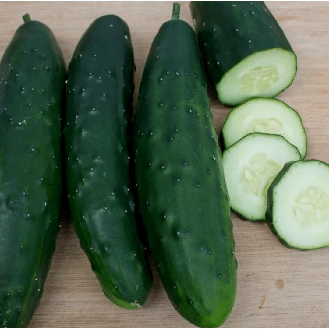 Cucumbers Olympian Seeds | West Coast Seeds