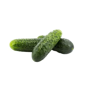 Cucumbers Olympian Seeds | West Coast Seeds