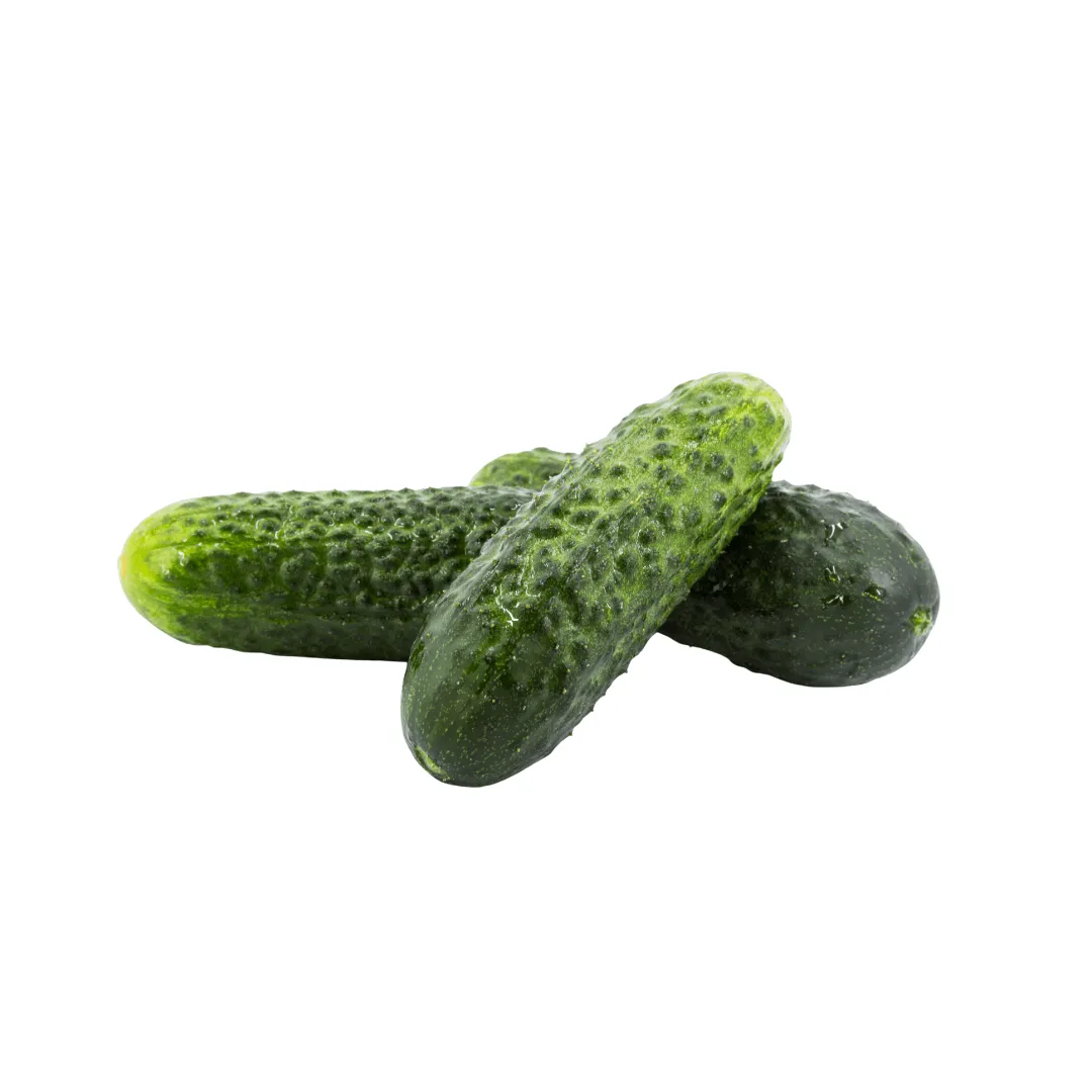 Cucumbers Olympian Seeds | West Coast Seeds