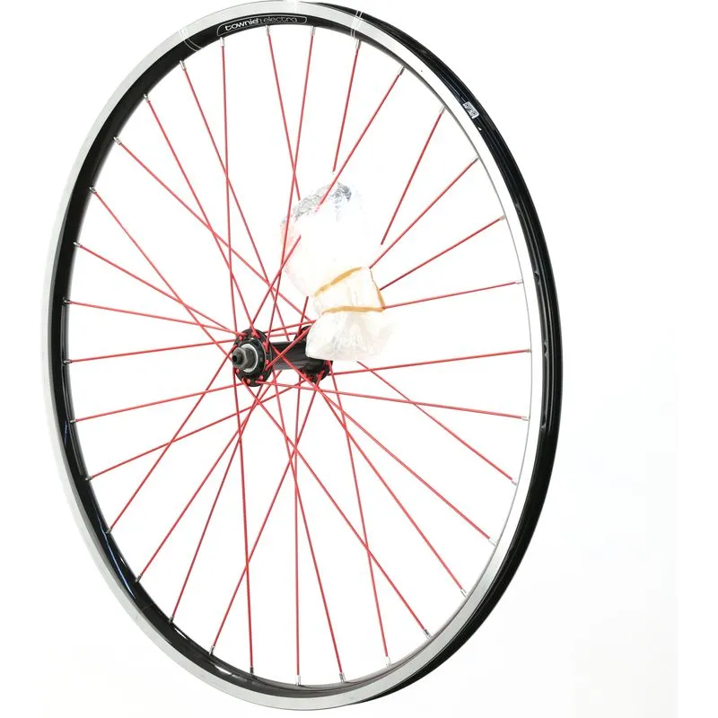 Electra Townie 21D 26" Front Wheel, Clincher, Rim Brake, Quick Release, Schrader