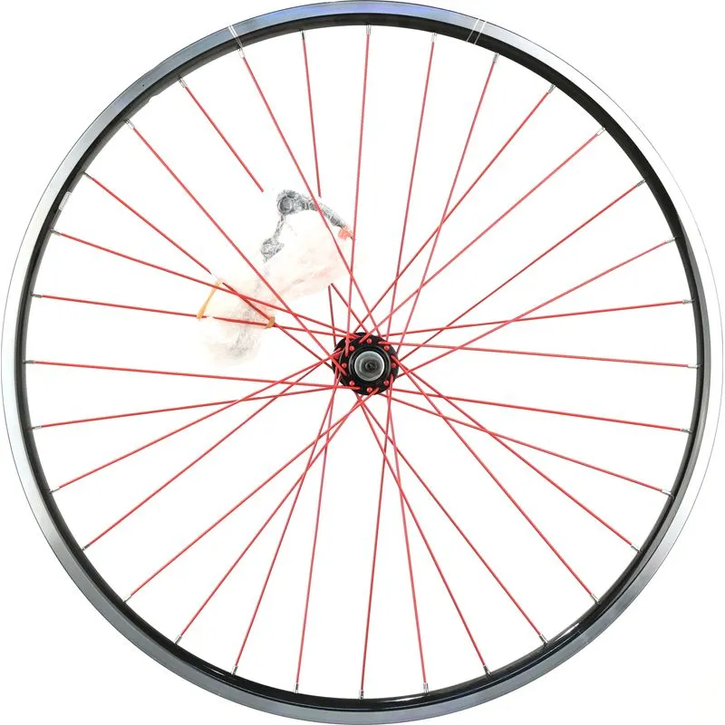 Electra Townie 21D 26" Front Wheel, Clincher, Rim Brake, Quick Release, Schrader