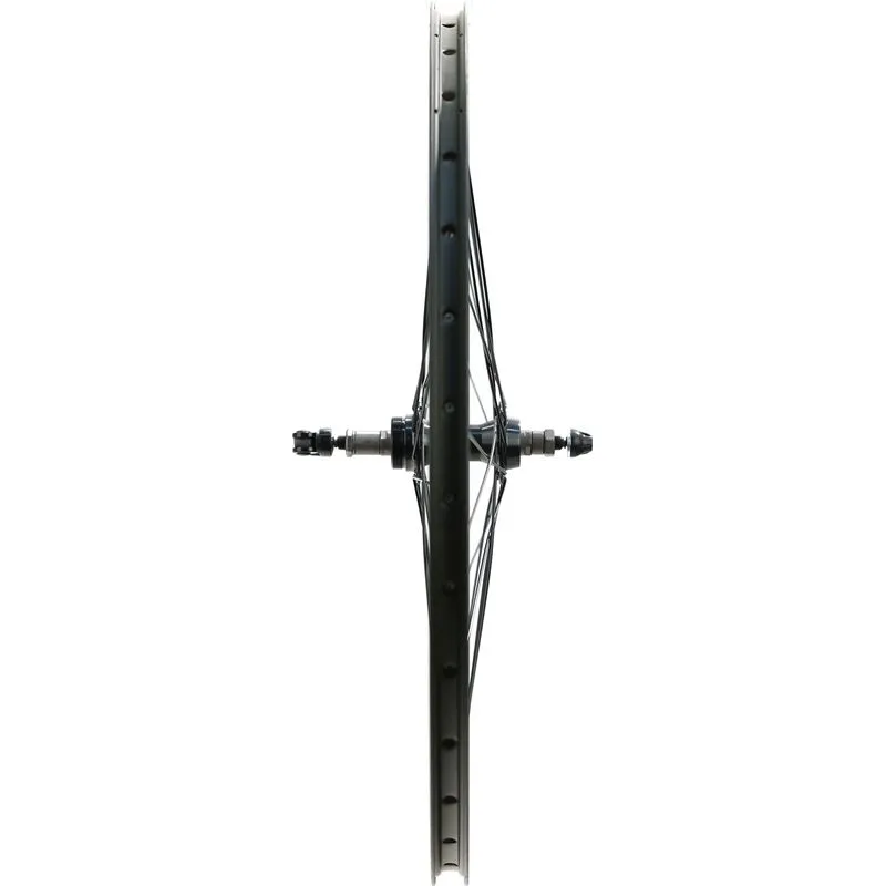 Electra Townie 7D 26" Rear Wheel |  Rim Brake | 1000g | Schrader