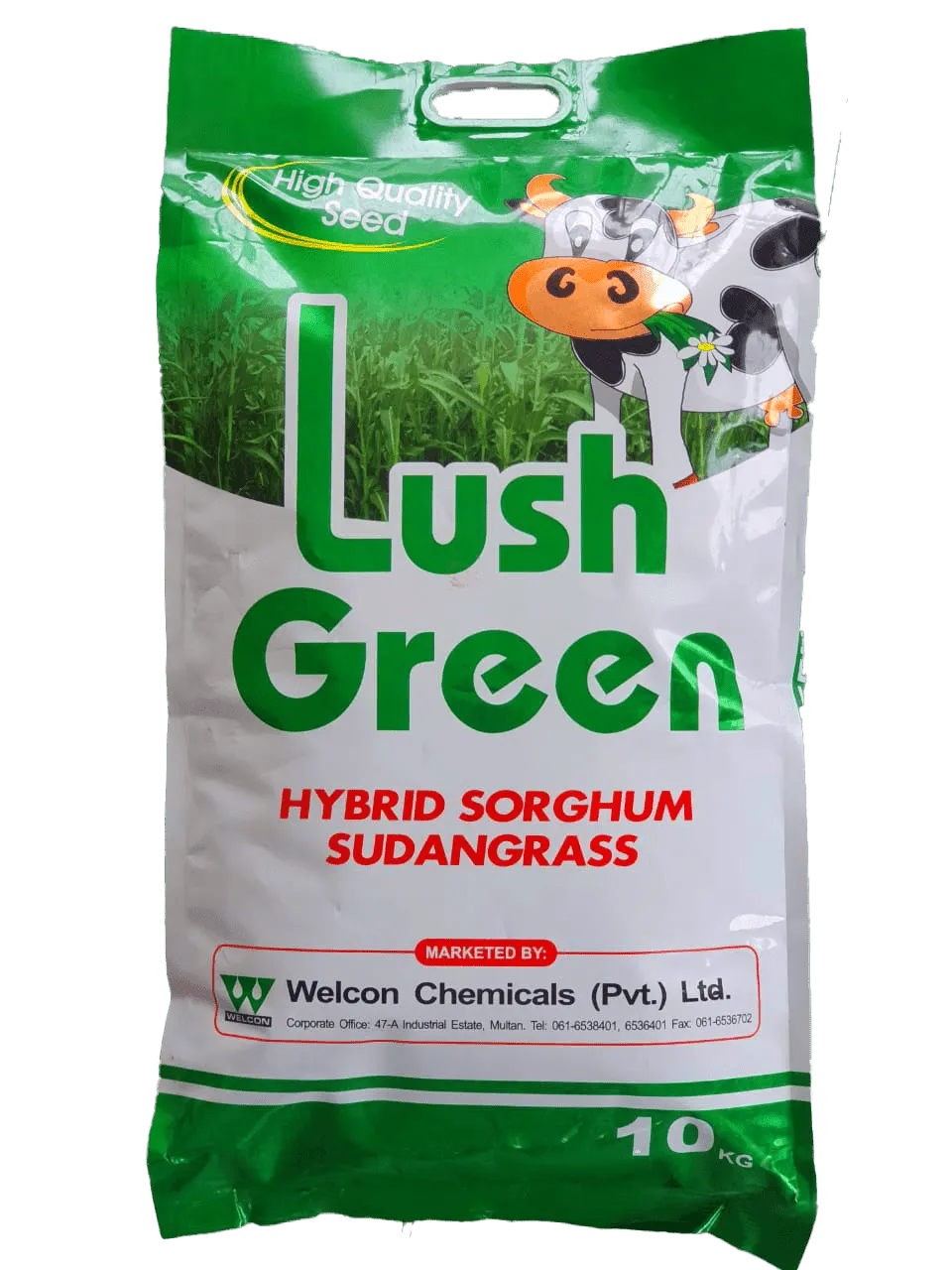 Hybrid Sorghum Sudan Grass-Lush Green
