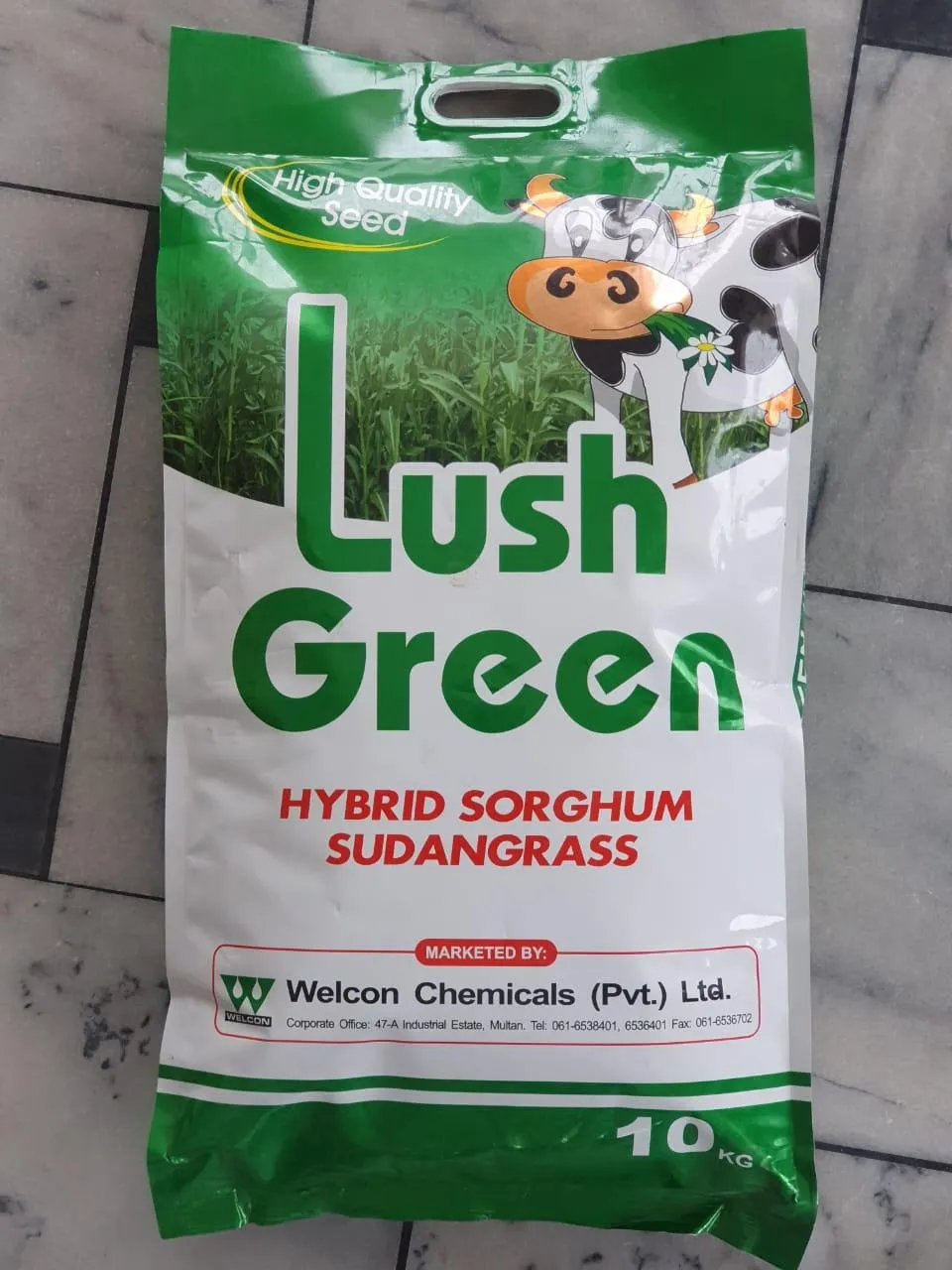 Hybrid Sorghum Sudan Grass-Lush Green