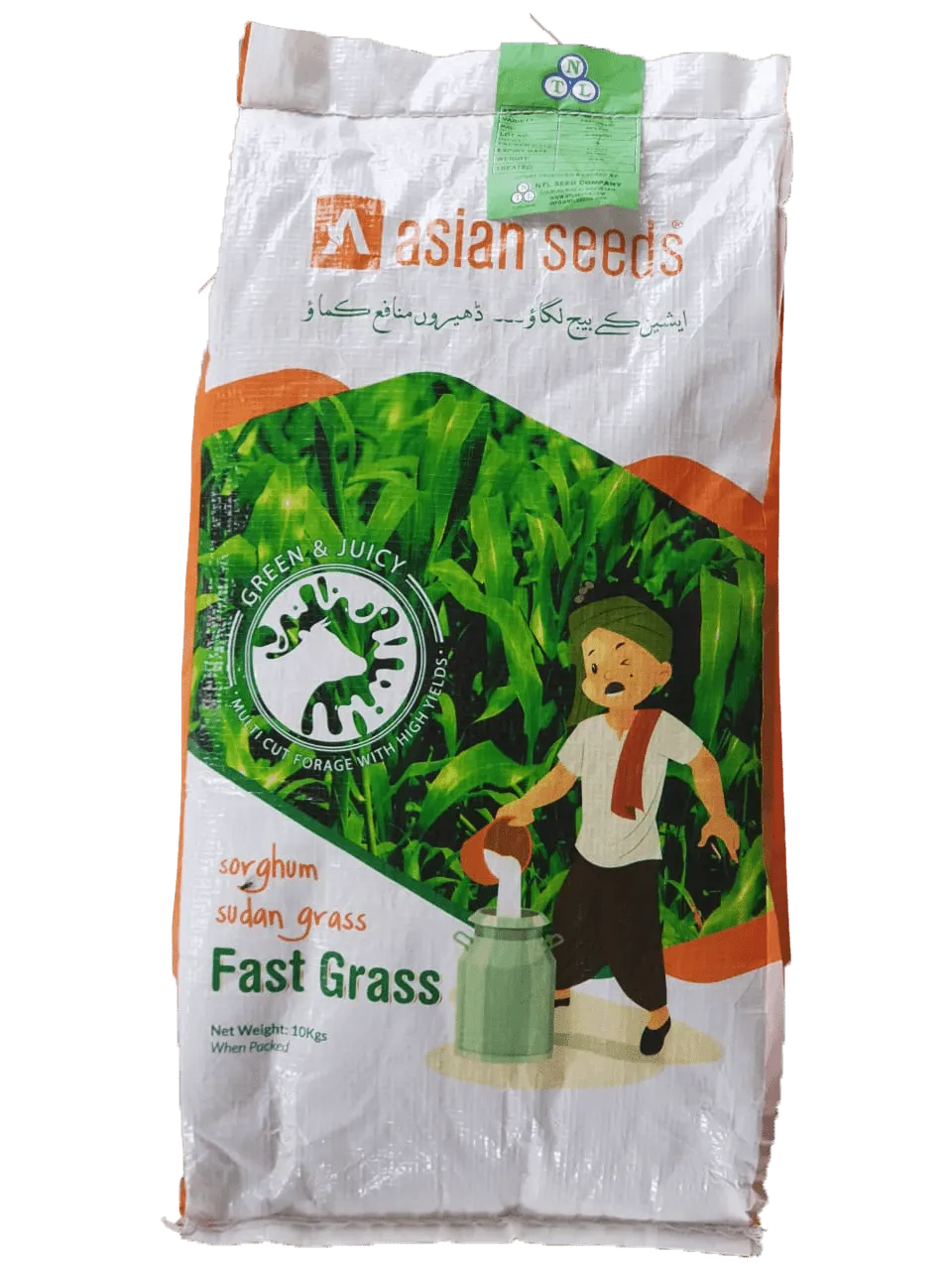 Sorghum Sudan Grass - Fast Grass