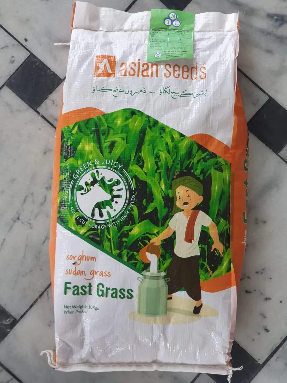 Sorghum Sudan Grass - Fast Grass