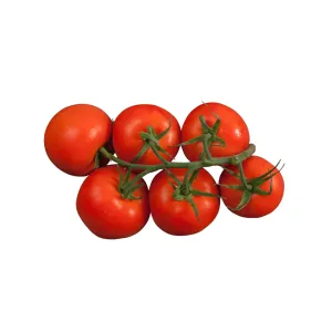 Tomato Montecarlo Hybrid Seeds | Weston Seeds